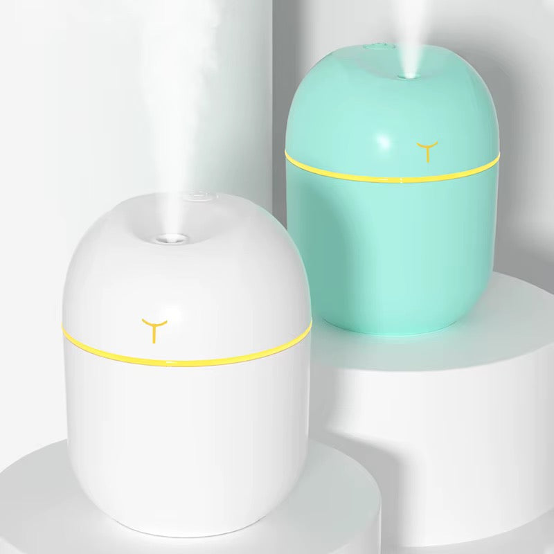 Portable 220ml Mini USB Desktop Humidifier