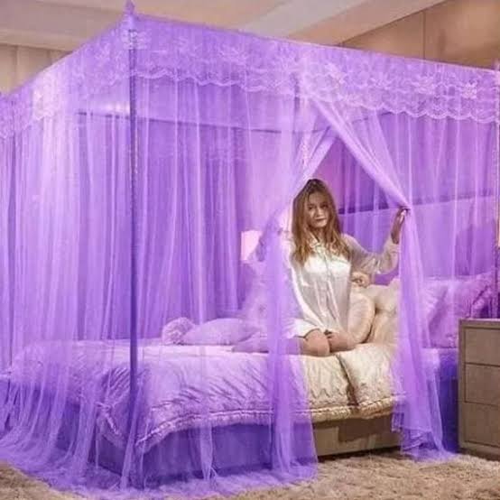 4x6 Metallic Stand Mosquito Net